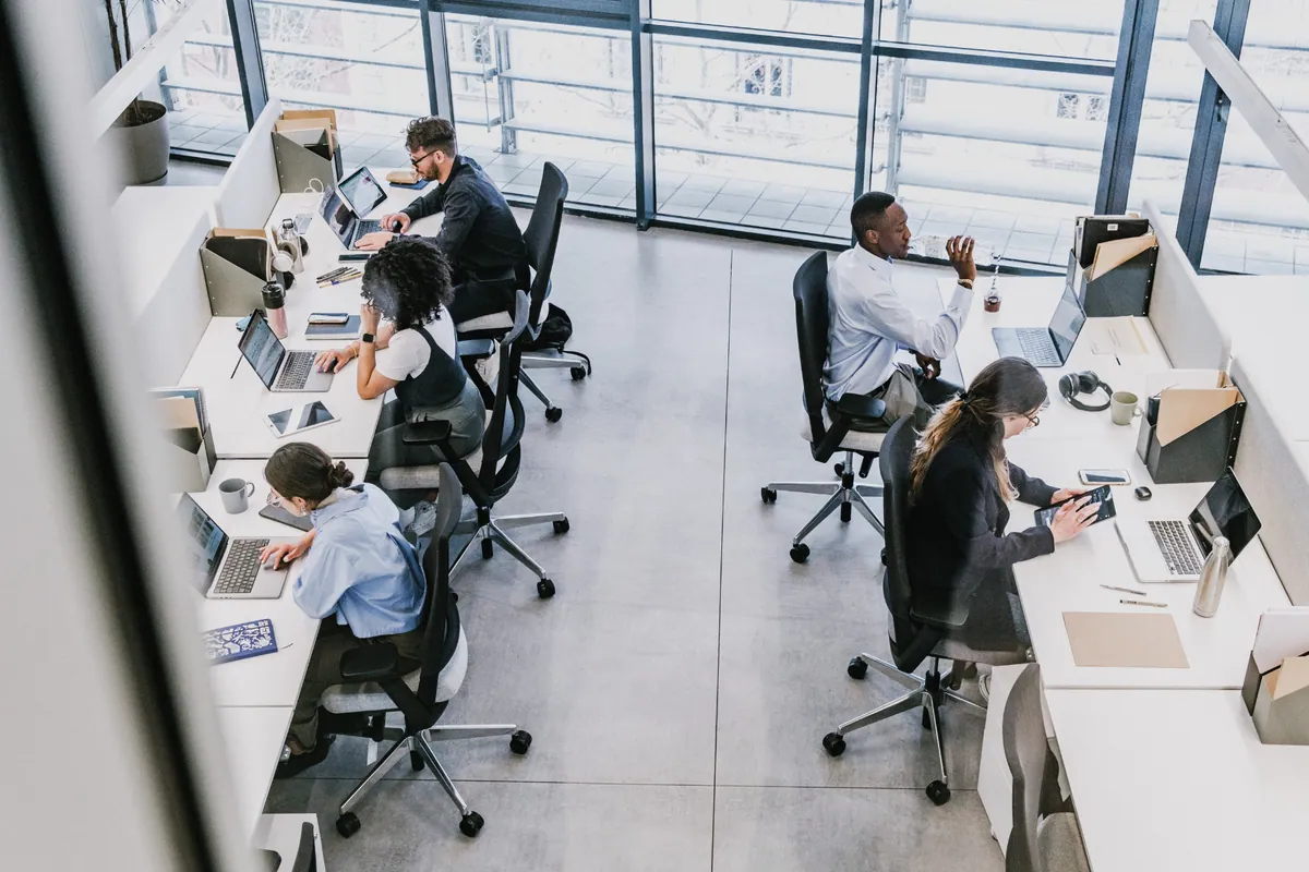 Professional Contract Case Study